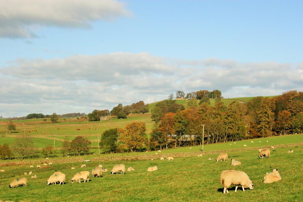 Howe End *